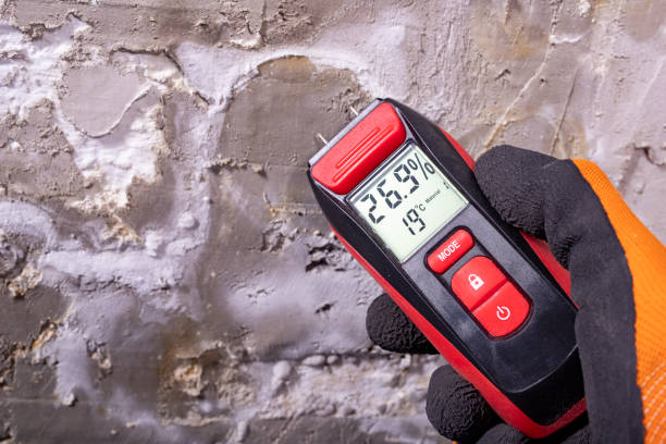 Best HVAC Mold Remediation in Guernsey, WY