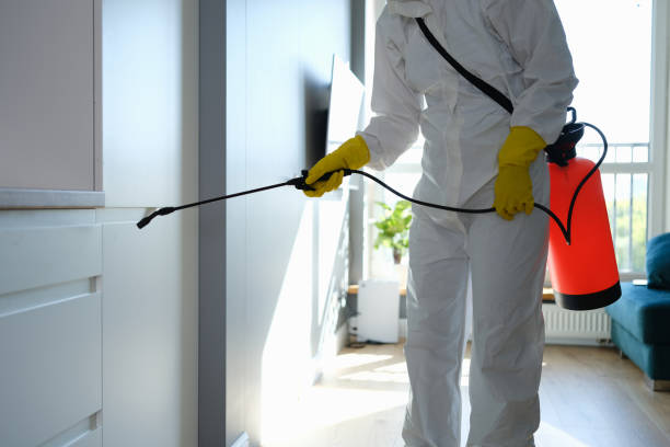 Best Crawl Space Mold Remediation in Guernsey, WY
