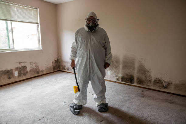 Best Localized Mold Remediation (e.g., coastal areas, humid climates) in Guernsey, WY