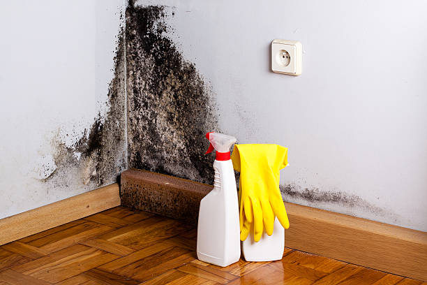 Best Post-Remediation Services in Guernsey, WY